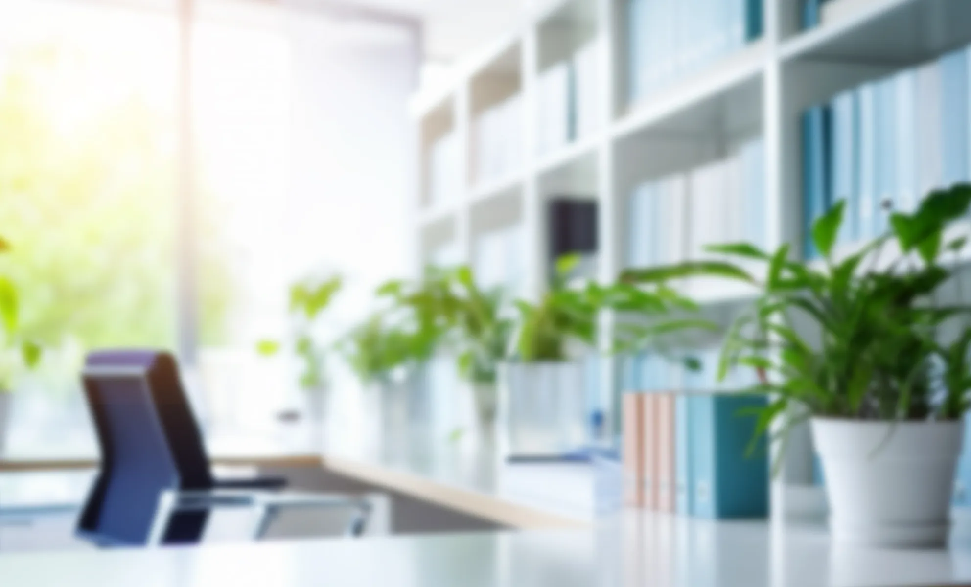 メインビジュアル画像